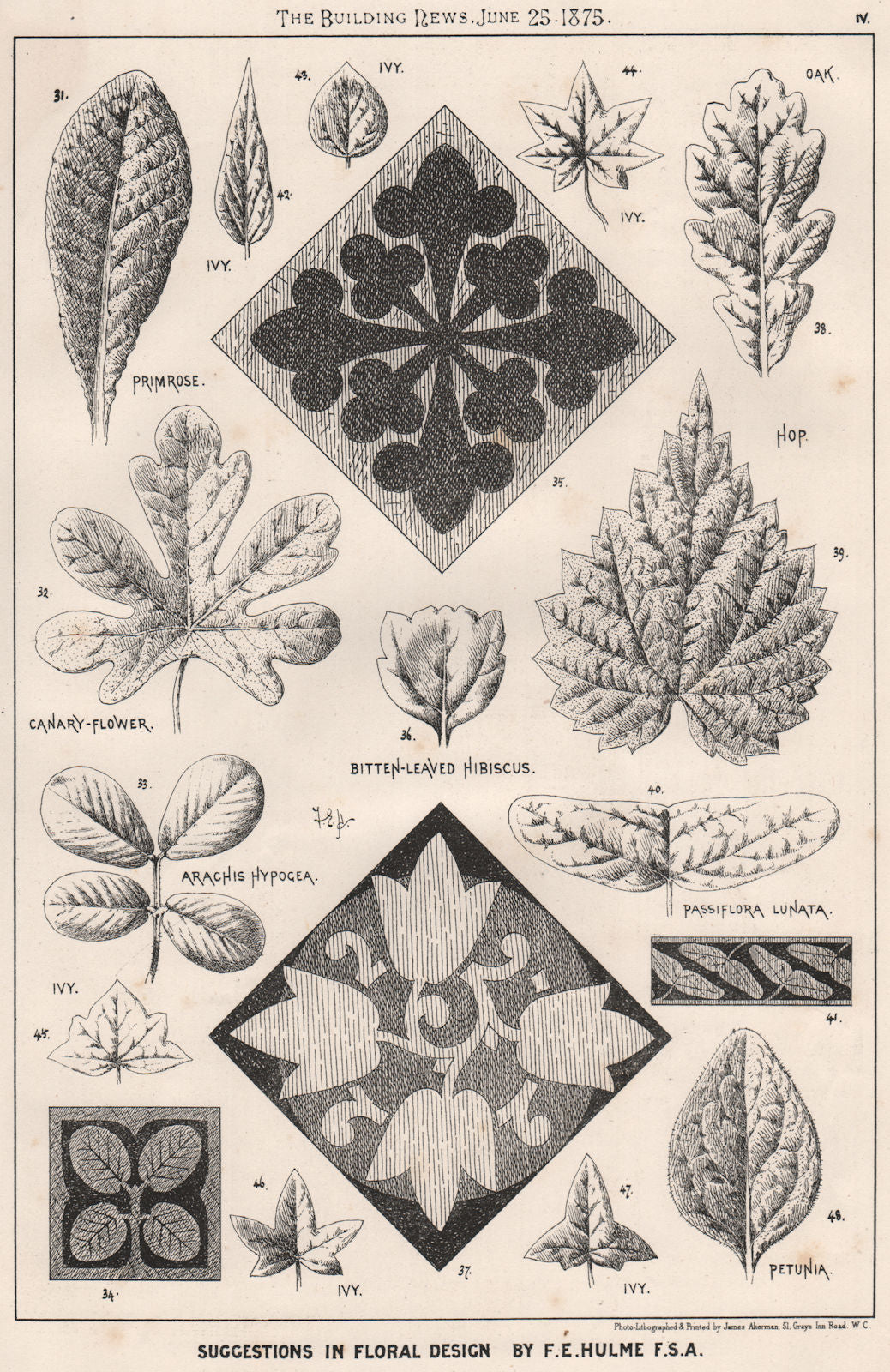 Suggestions in Floral; Design by F.E. Hulme F.S.A.. Decorative (3) 1875 print